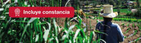 Gestión sostenible para empresas del sector turístico