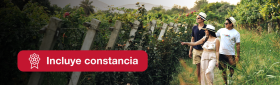 El nuevo vacacionista nacional y cómo atraerlo
